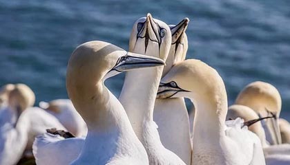 2025乐鱼体育网址AC米兰球员集体训练备战下赛季，全力冲击意甲亚军