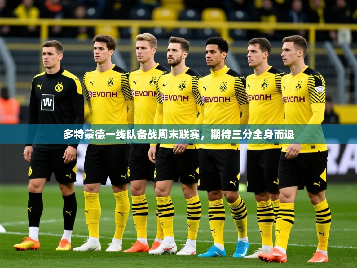 2025乐鱼体育app登录入口多特蒙德一线队备战周末联赛，期待三分全身而退