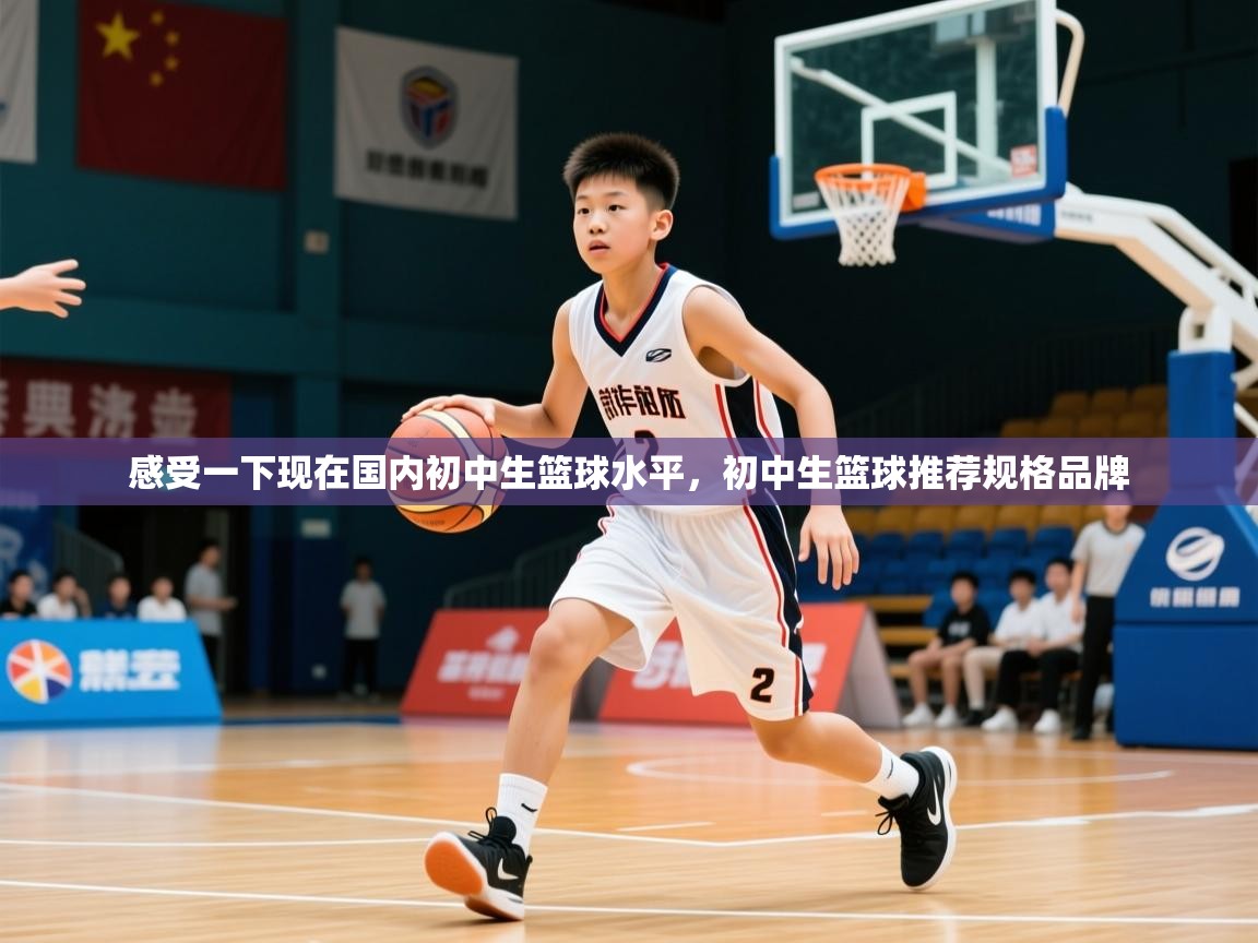 2025乐鱼体育登录网页入口感受一下现在国内初中生篮球水平，初中生篮球推荐规格品牌